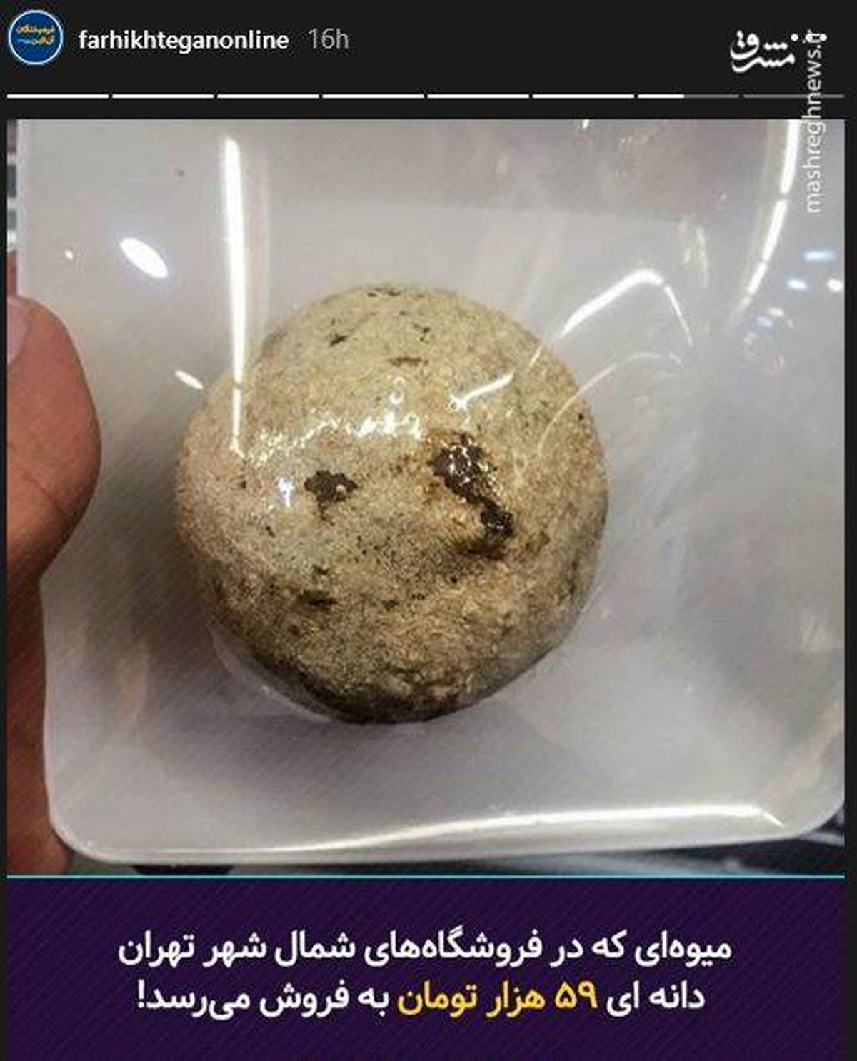 هر عدد سیب ۵۹ هزار تومان! +عکس