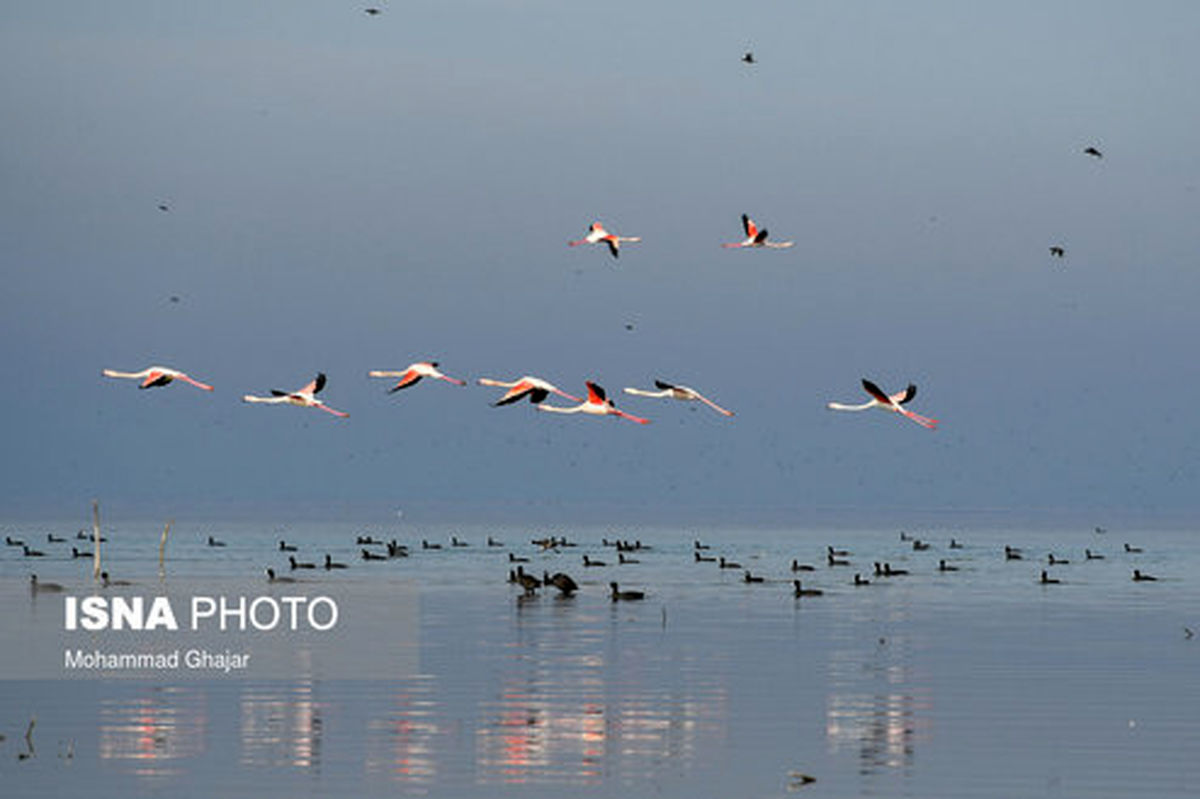 تصاویر: ایران زیباست؛ سواحل استان گلستان