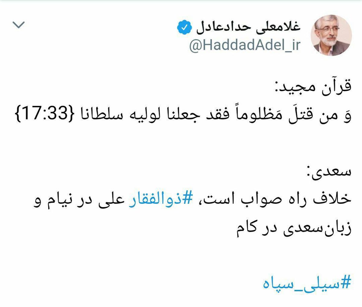 واکنش حدادعادل به عملیات مقتدرانه سپاه +عکس