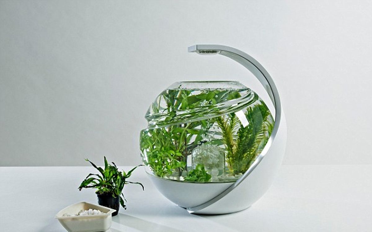 اولین آکواریوم  هوشمند ماهی/تصاویر