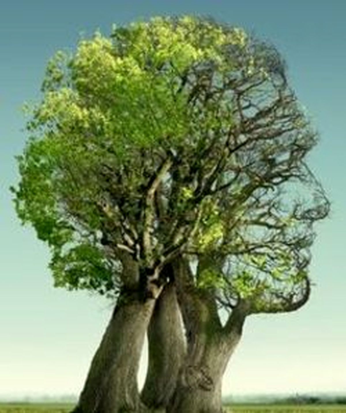 آیا گیاهان فکر میکنند؟