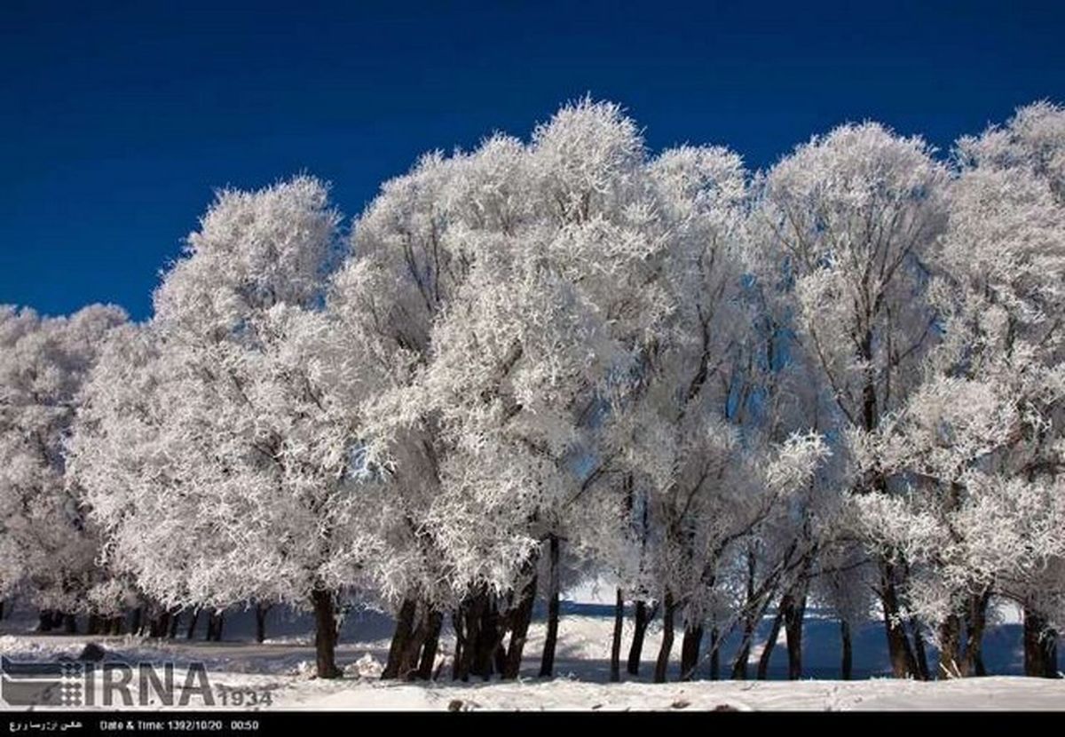 طبیعت زمستانی اردبیل/تصاویر