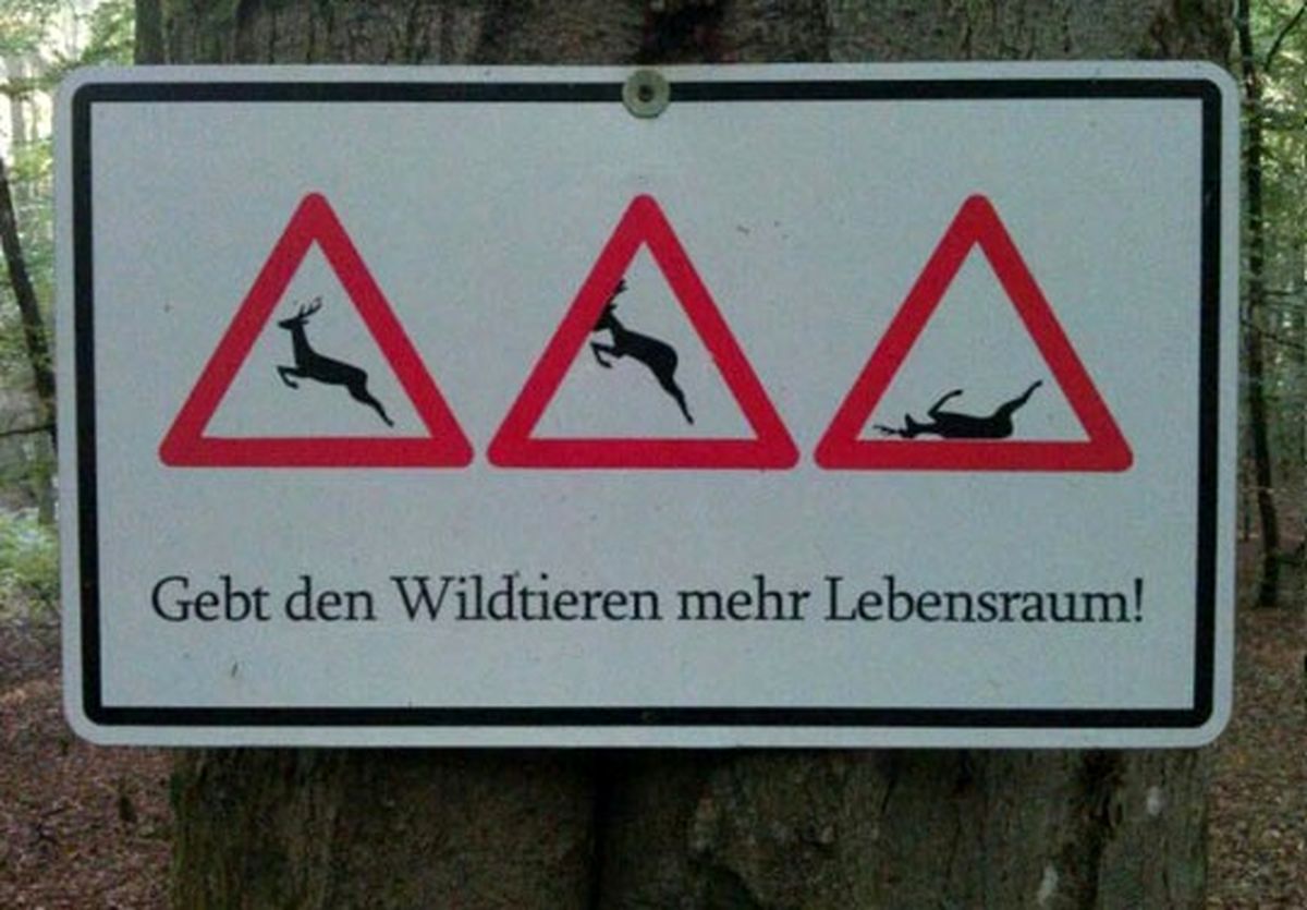 عکس/یک پیام مهم وفراموش شده!