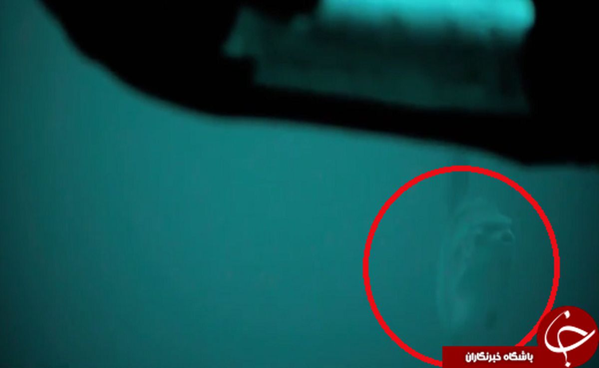 بزرگترین ماهی استخوان‌دار جهان +عکس