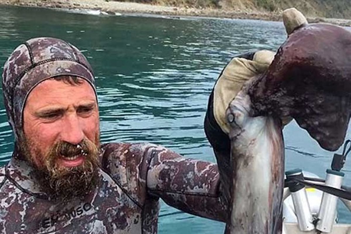 مردی که یک هشت‌پا را زنده زنده خورد! +تصاویر