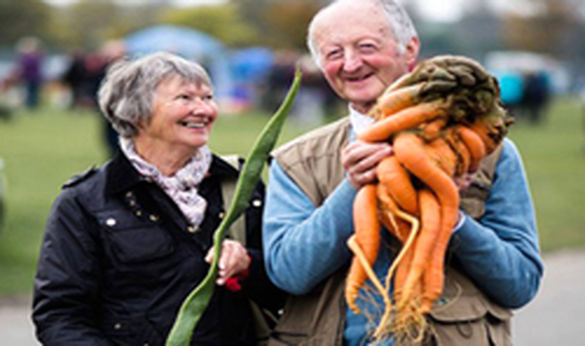 محصولات عجیب کشاورز سالخورده +تصاویر