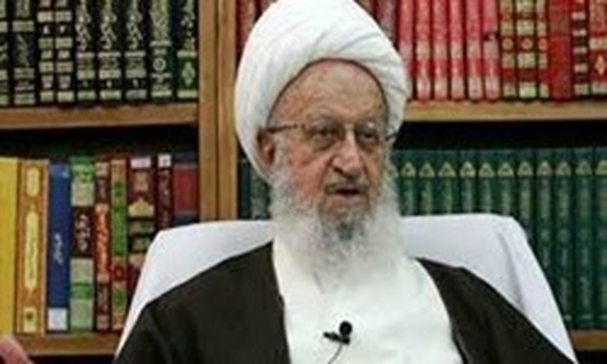 آیت الله مکارم شیرازی: دولت در گرانی بی تقصیر نیست