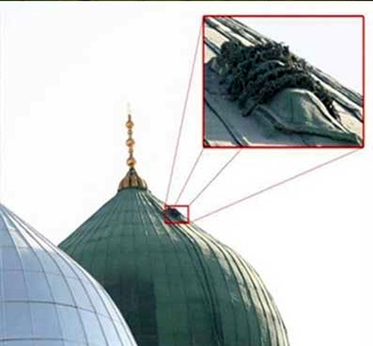 جریان برجستگی روی گنبد پیامبر(ص) چیست؟ +عکس