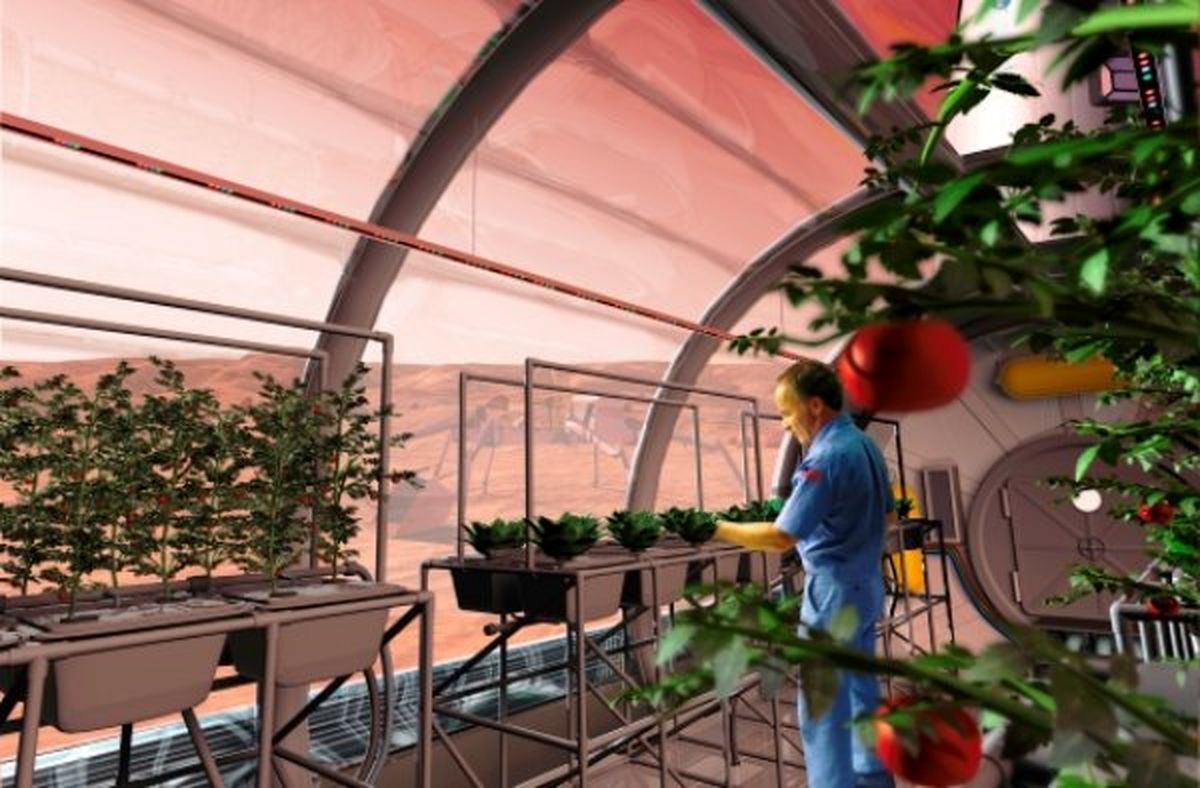 ۲۰۰ غذا در منوی ایستگاه فضایی+عکس