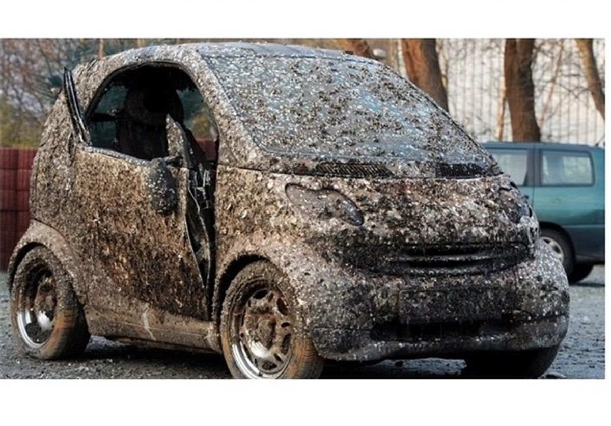 جنجال برای خریدخودروی زنگ زده/عکس