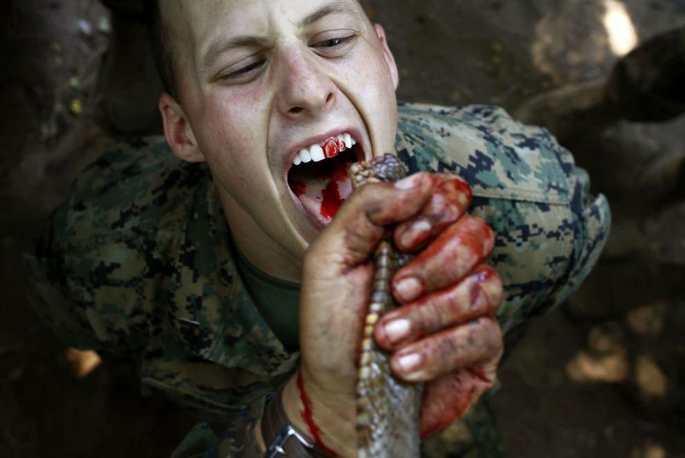 عکس: خوردن خون مار کبرا توسط تفنگدار آمریکایی