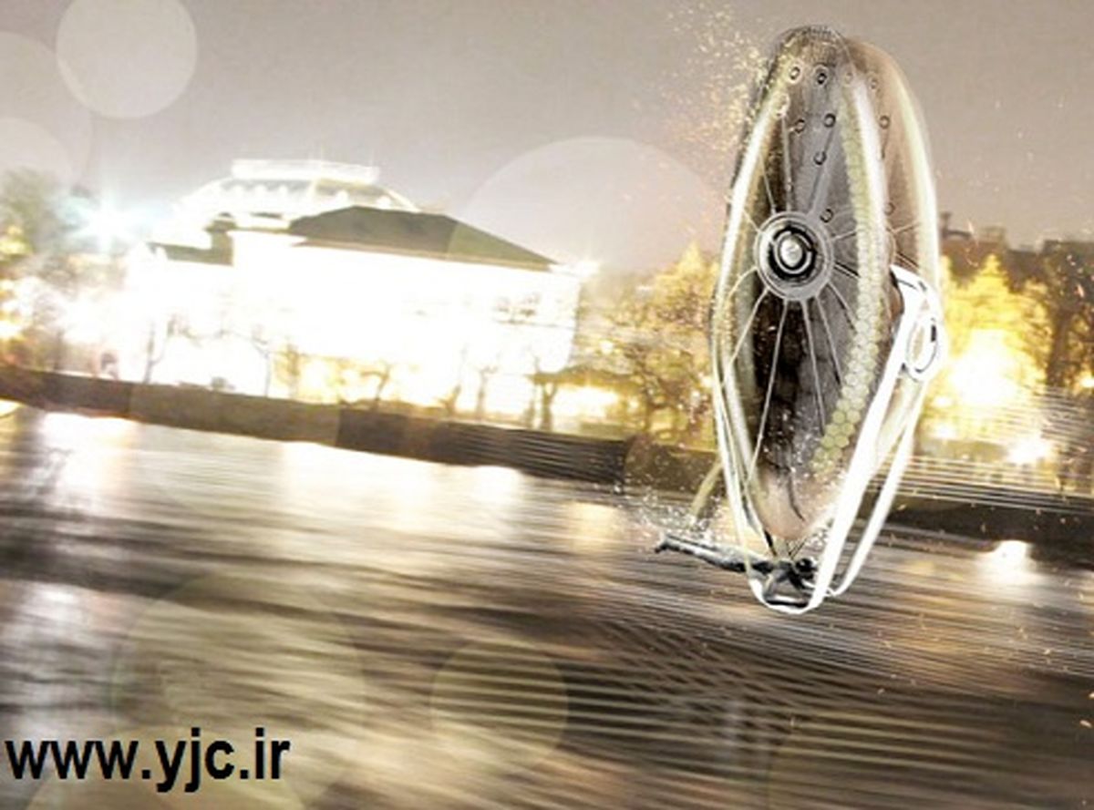 گردشگری به سبک پرندگان/ عکس