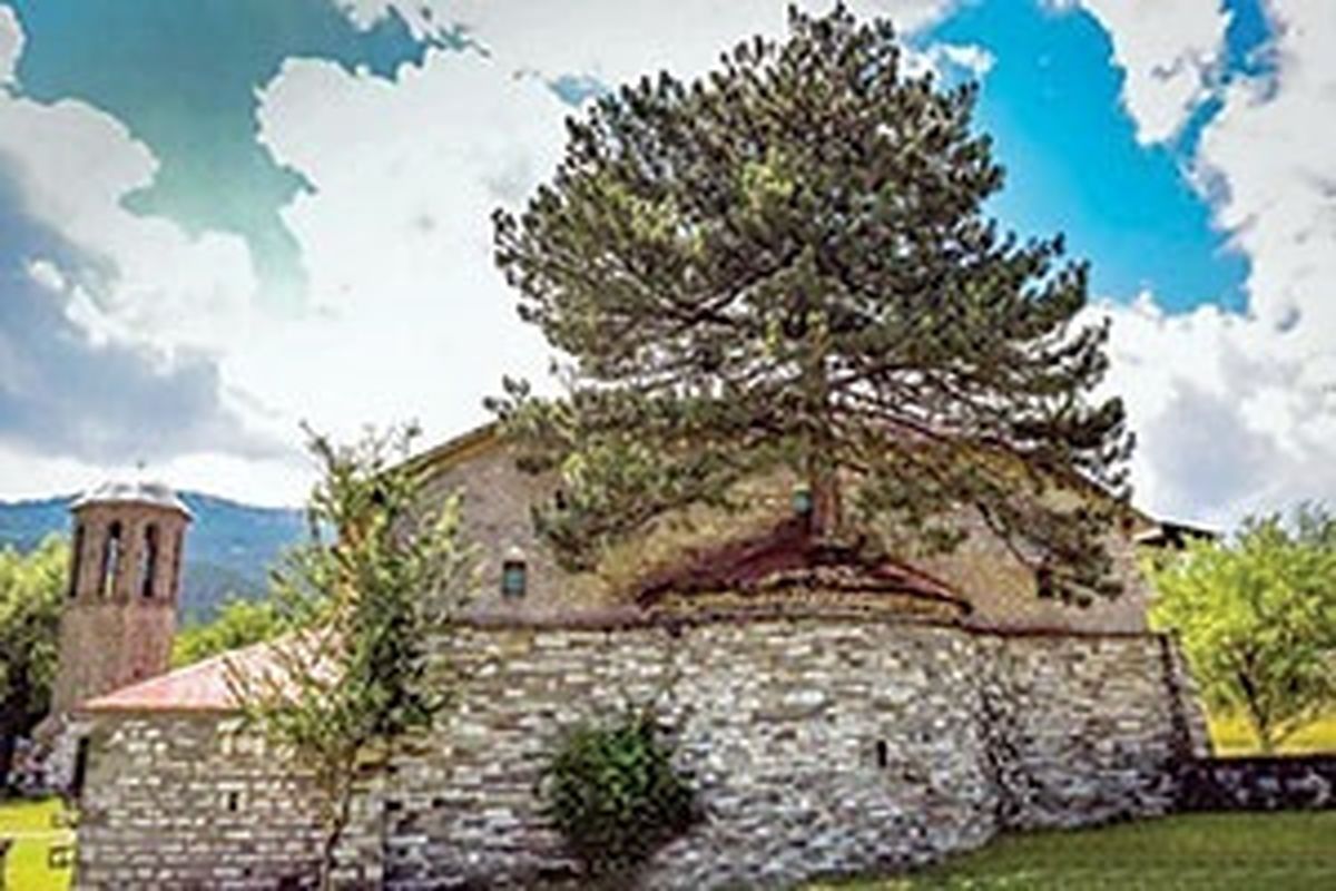 درخت ۱۰۰ساله روی سقف یک کلیسا +عکس