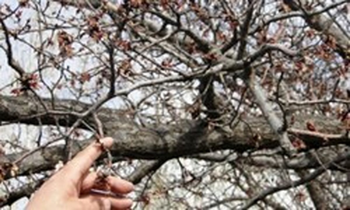 فرمان ۱۵ ماده‌ای به استانداران برای مقابله با حوادث فصل سرما