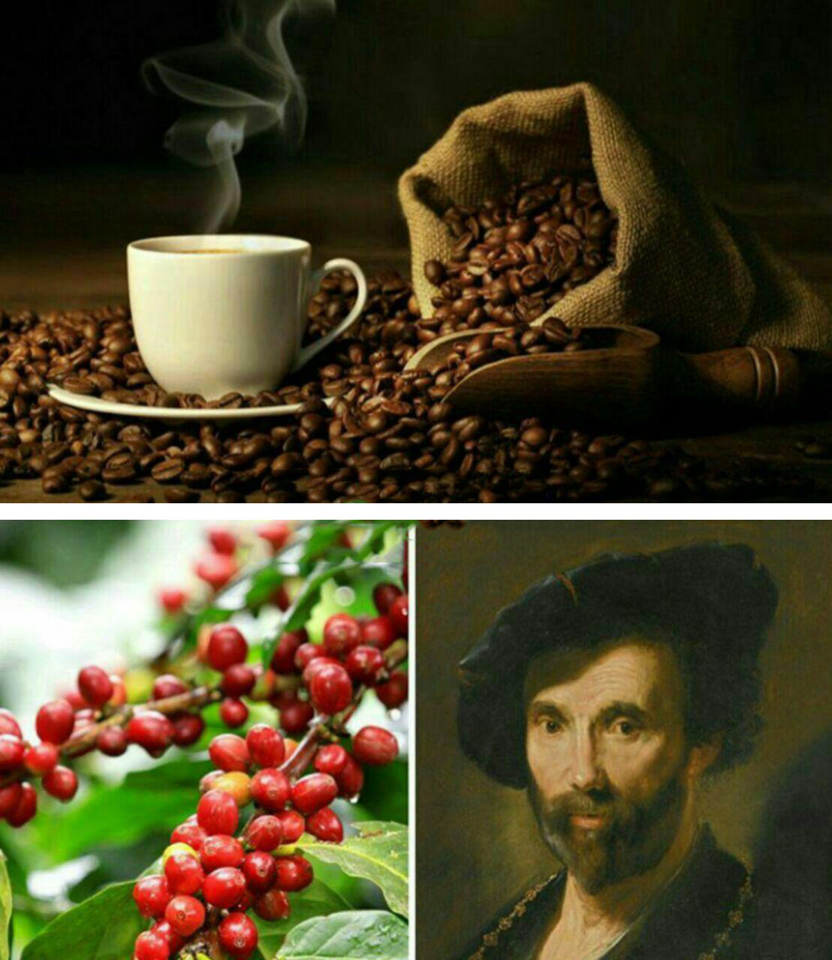 عکس: تاجر هلندی یمن را به خاک سیاه نشاند