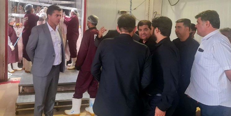 بازدید مخبر از نحوه نگهداری، عرضه و توزیع اقلام پروتئینی در تهران، قم و البرز