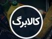 دستور مستقیم پزشکیان برای واریز کالابرگ | کالابرگ جای یارانه نقدی را می‌گیرد