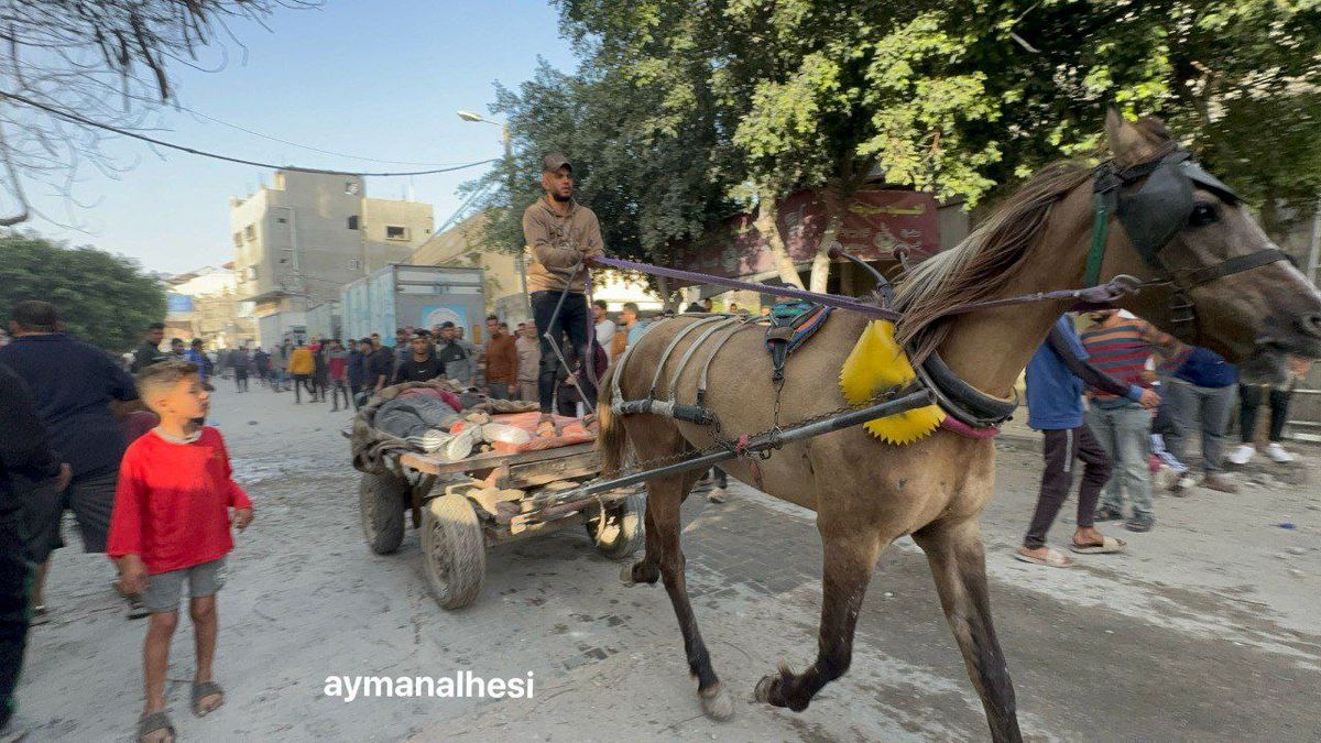 ۲۴ شهید در حمله اسرائیل به مدرسه‌ای در شرق غزه