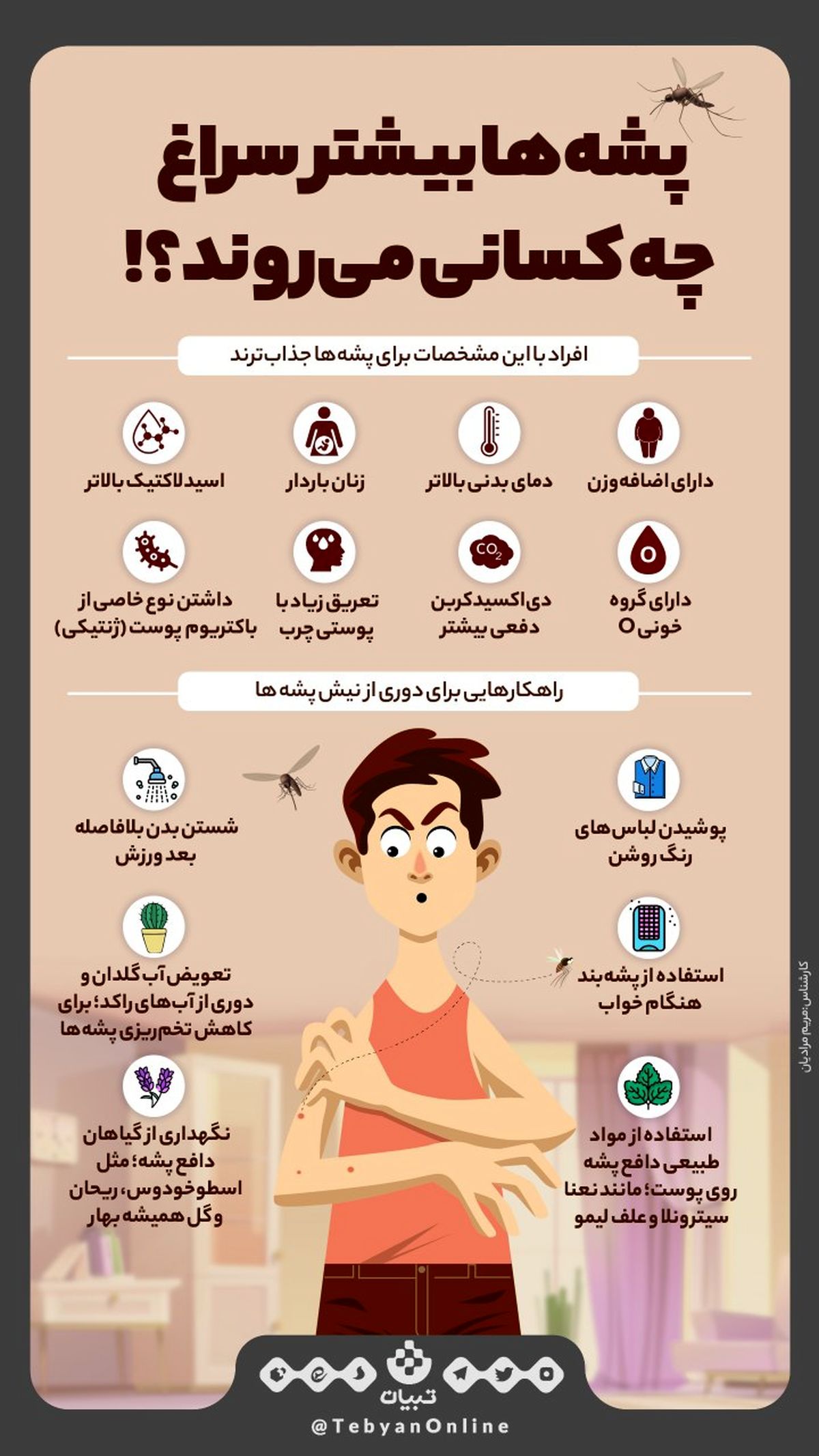 پشهها بیشتر سراغ چه افرادی میرن؟