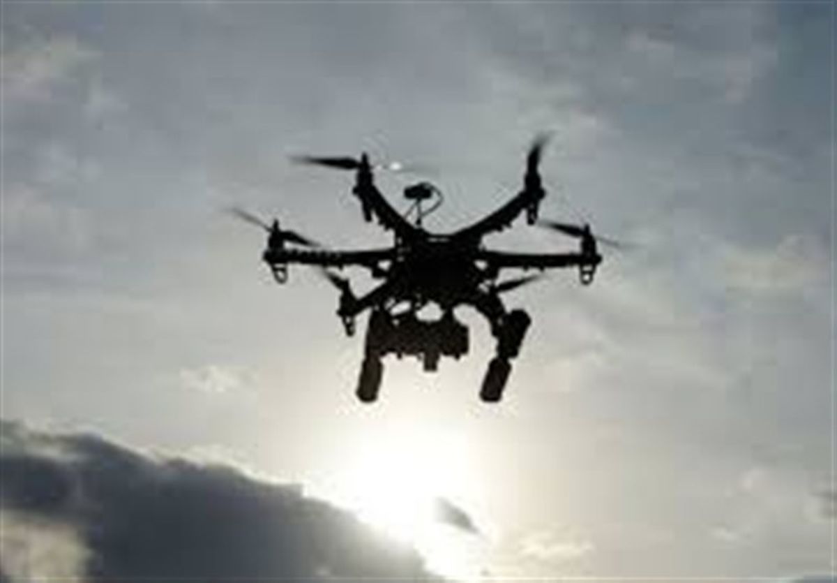 کشف ۳ ریزپرنده و کلت جنگی 