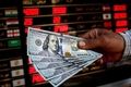 سقوط تاریخی نرخ ارز در بازار امروز سه‌شنبه ۱۵ مهر + جدول جدید قیمت دلار و یورو»