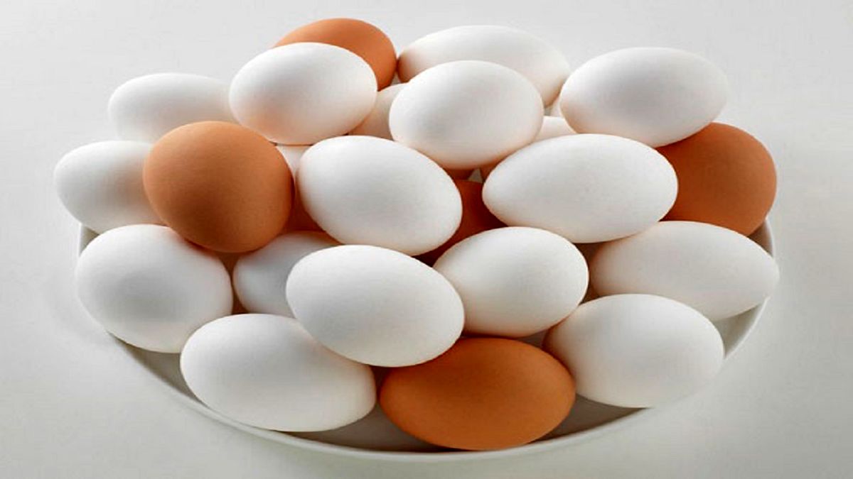 هر شانه تخم مرغ در بازار چند؟
