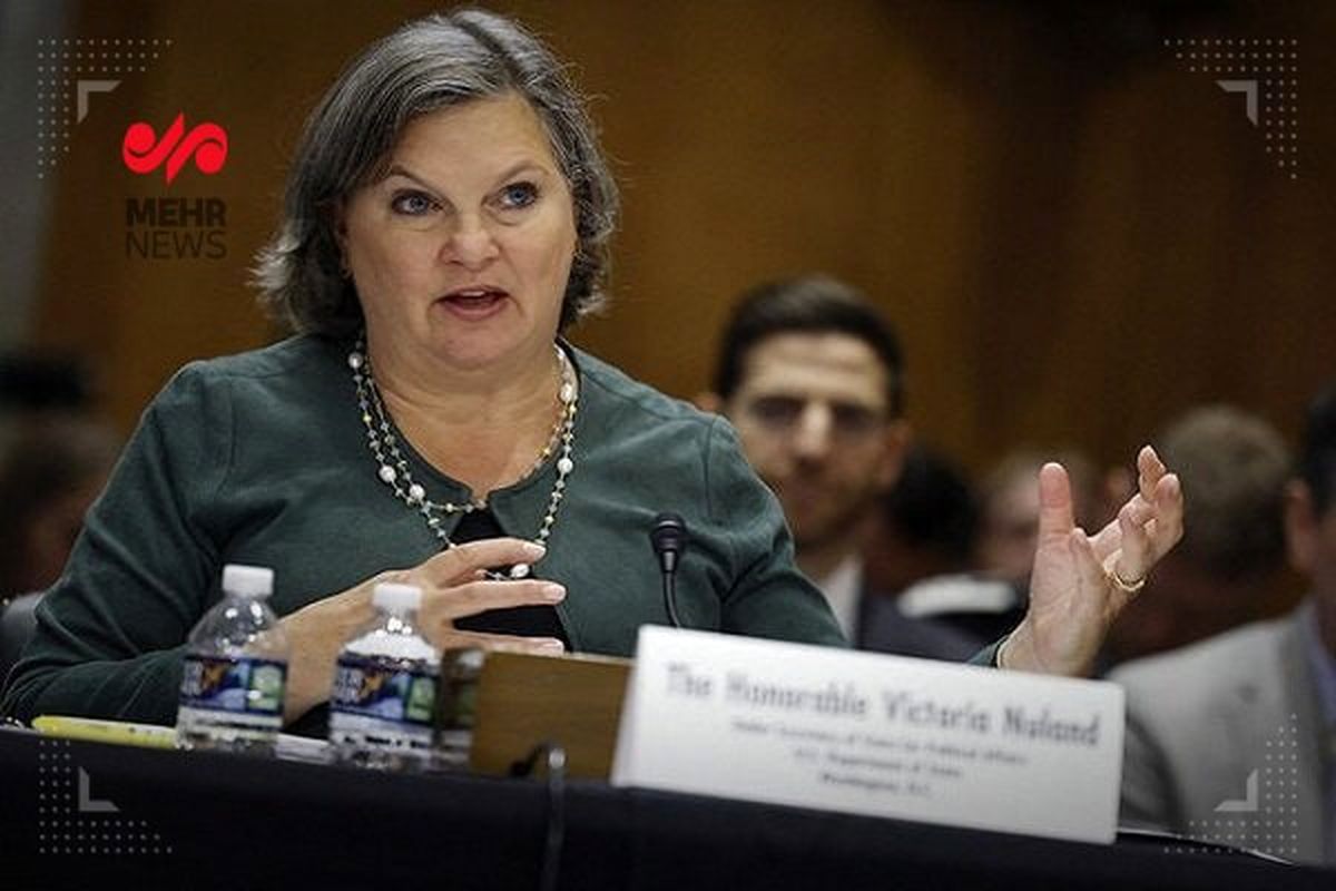 افشای سفر معاون وزیرخارجه آمریکا به نیجر برای دیدار با کودتاچیان