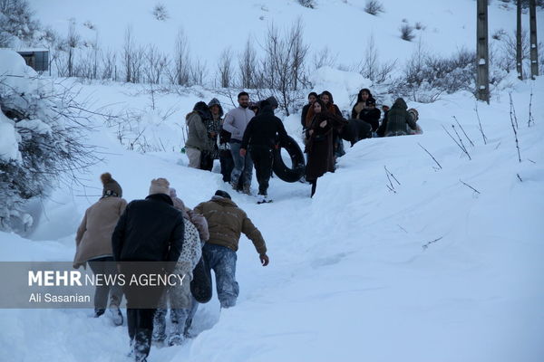 تصاویر: بارش برف در گردنه حیران