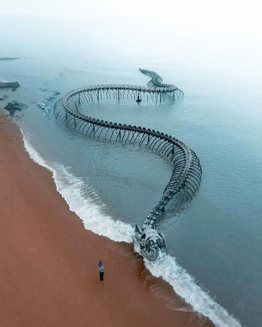 ‏هیولای دریا در فرانسه دیده شد! +عکس