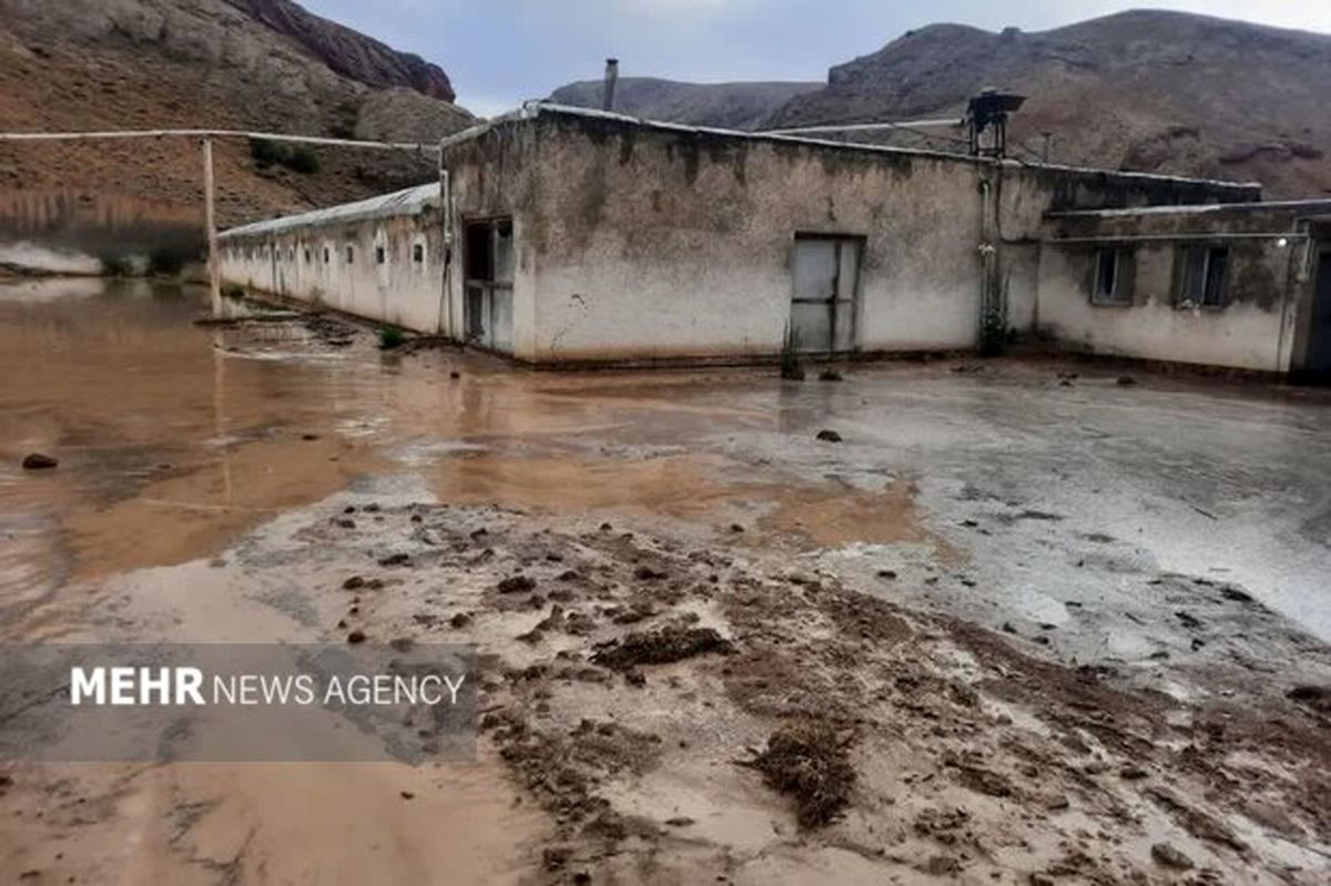 سیلاب در فیروزکوه / آسیب باغات و واحدهای مسکونی