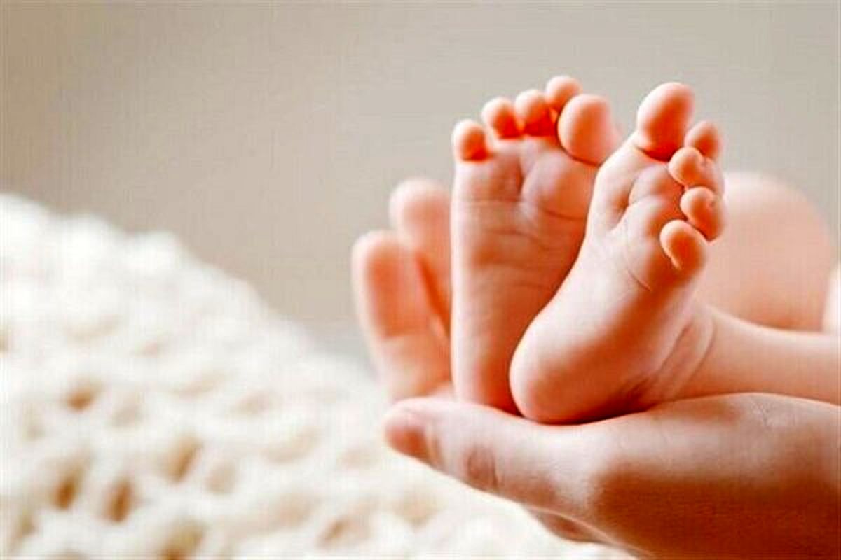تغذیه معجزه‌آسای باروری از دیدگاه ابن‌سینا