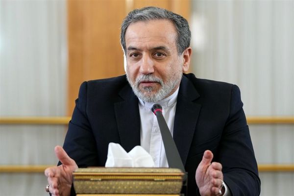 وزیر کشور پاکستان با عراقچی دیدار و گفتگو کرد