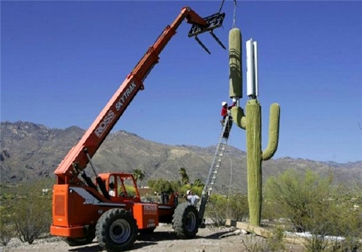 استتار جالب آنتن‌ها /عکس