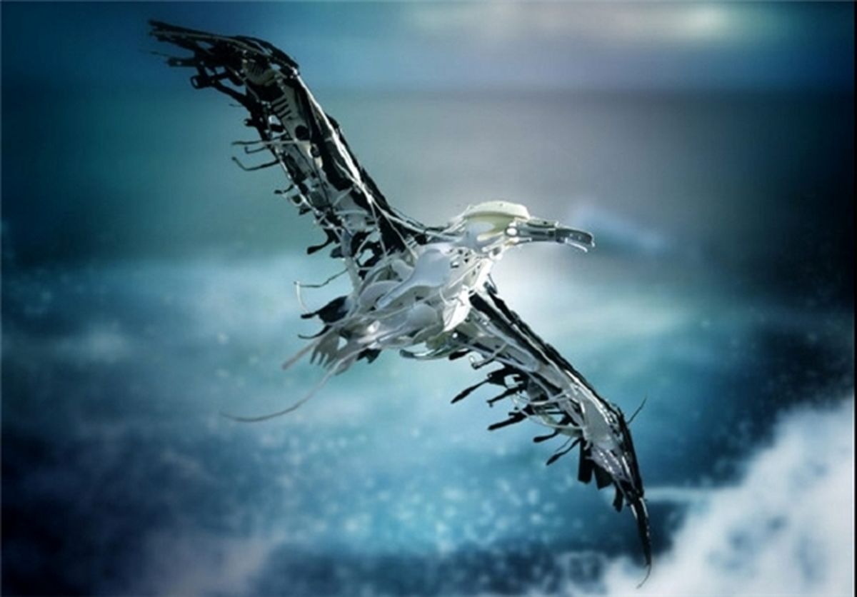 حیوانات سرزمین زباله ها+تصاویر