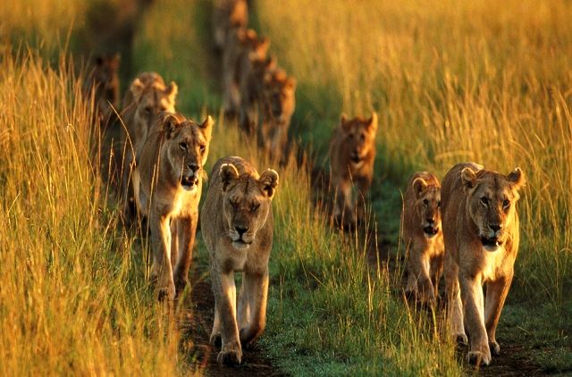 نظم در طبیعت!/عکس