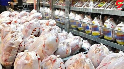 قیمت هر کیلو مرغ ۴۵ هزار تومان می‌شود؟