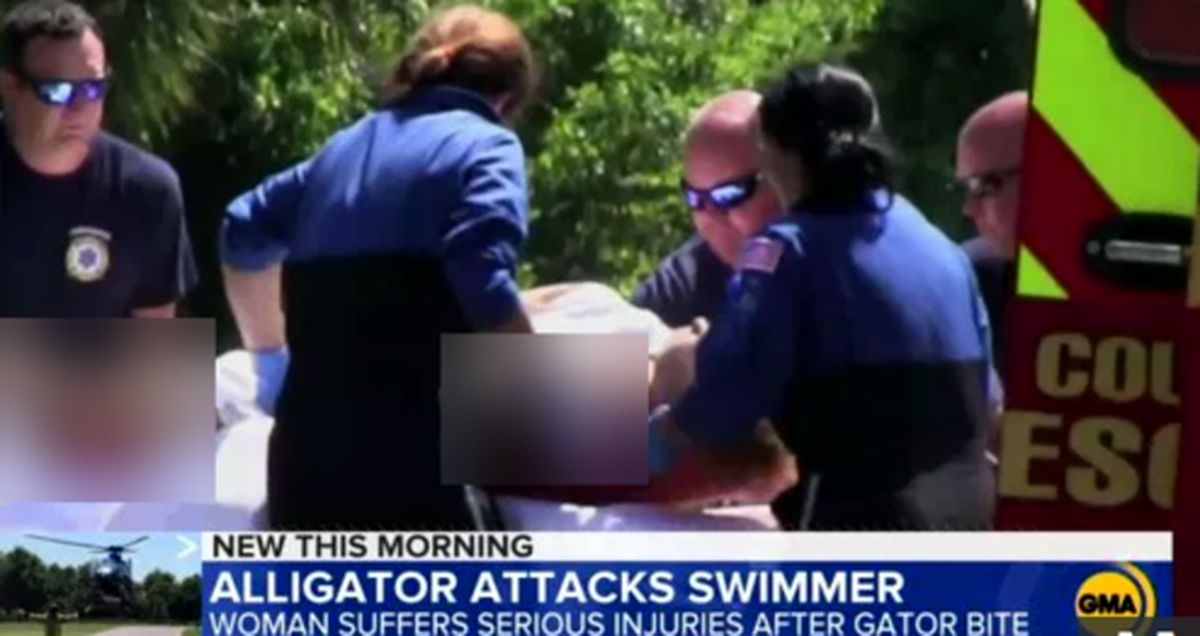 حمله مرگبار تمساح غول پیکر به دختر جوان +فیلم