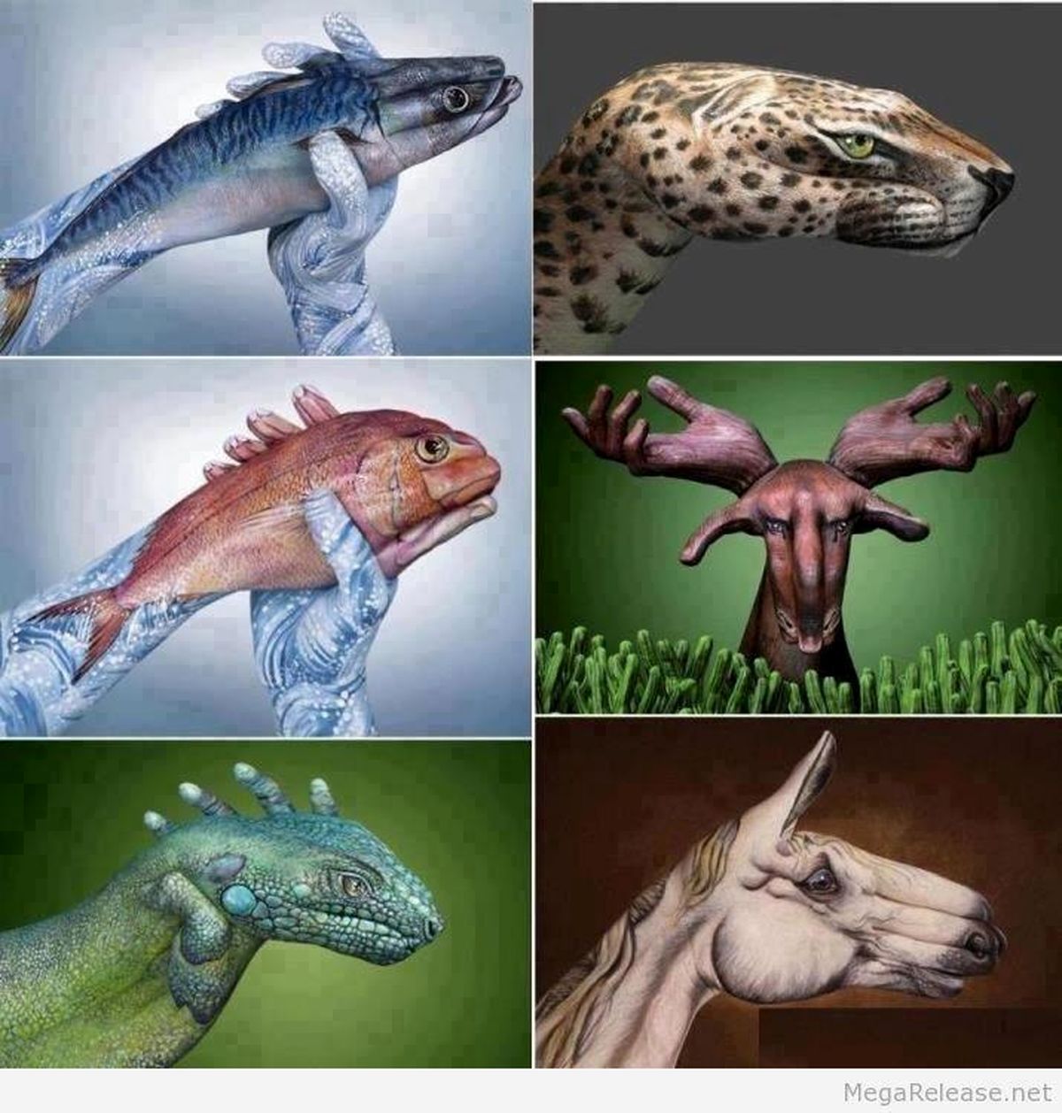 عکس/ هنرنمایی با دست‌های خالی