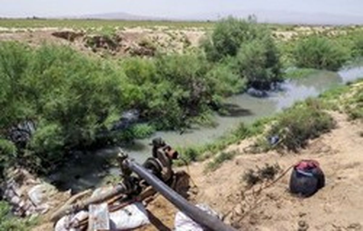 تصاویر: کاشت «سرطان» در ساوه!