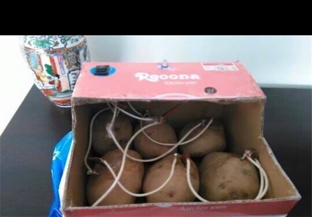 جوان بامیانی از سیب‌زمینی برق تولید کرد