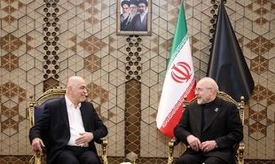 تصاویر: دیدار محمد درویش با قالیباف 