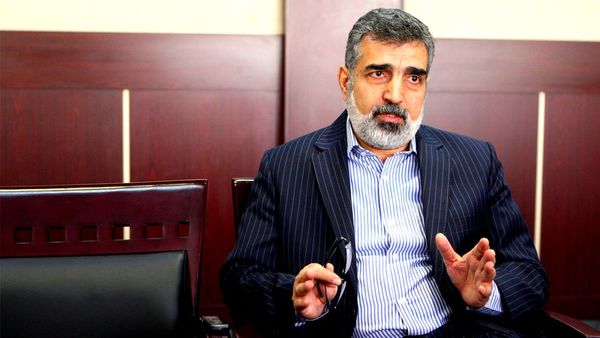 واکنش کمالوندی به مسدود شدن دارایی و حساب سازمان انرژی اتمی در ترکیه 