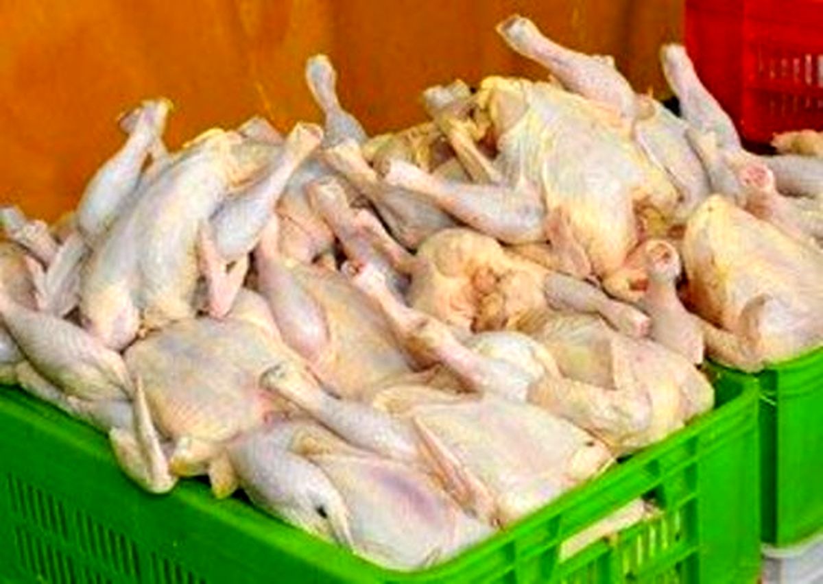 قیمت هر کیلو مرغ به ۱۰ هزار و ۹۰۰ تومان رسید