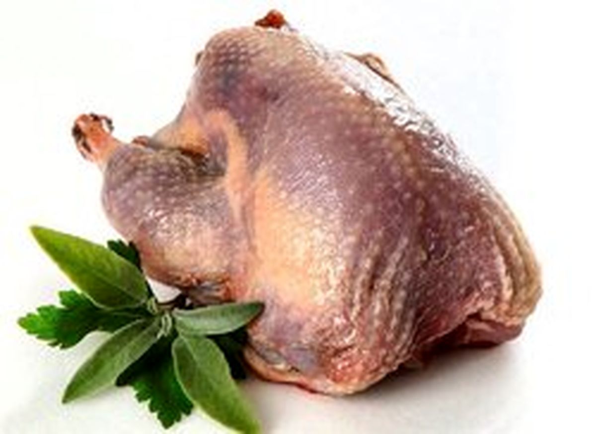 فیله بوقلمون در بازار چند؟ +جدول