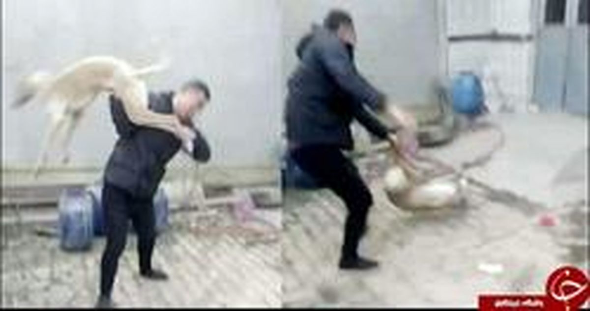 رفتار وحشیانه مرد چینی با یک حیوان داد همه را درآورد!