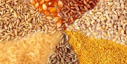 بررسی تأمین ارز واردات نهاده‌های دامی در کمیسیون اصل ۹۰