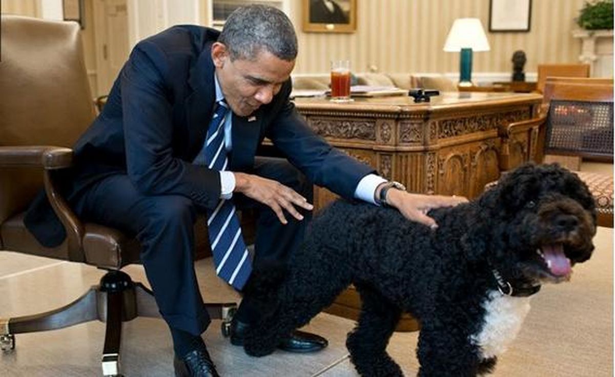 عضو جدید خانواده اوباما/عکس