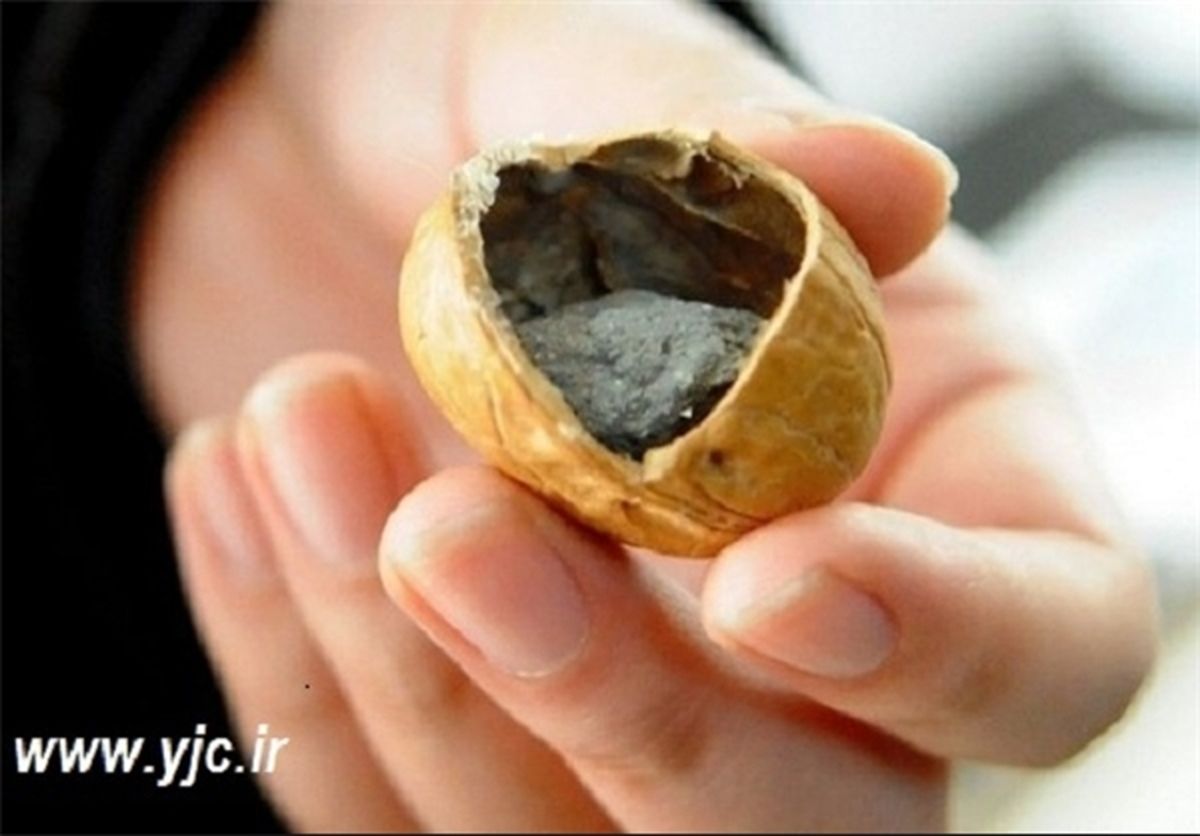 چینی‌ها گردو را هم جعل کردند! +عکس