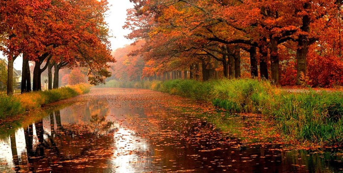  بارش باران سوم دی در پایتخت