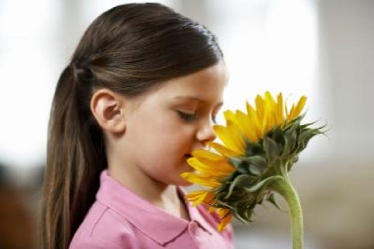 ۷ دلیل که باعث از دست رفتن حس بویایی می‌شود